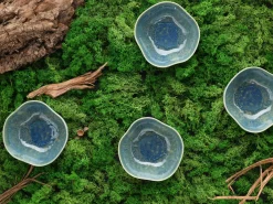 Yuki - Bowl 4-tlg - Grün-blau